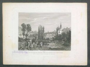 Vue de la Ville Bingen vers Rüdesheim et le Joanisberg [= Johannisberg]