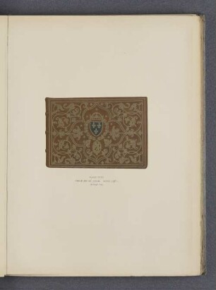 Plate XXXI.