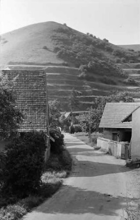 Vogtsburg: Badberg bei Vogtsburg