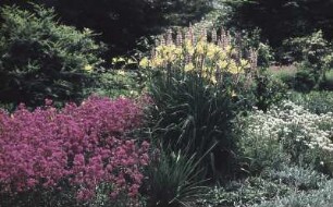 Dresden. Großer Garten. Staudengarten
