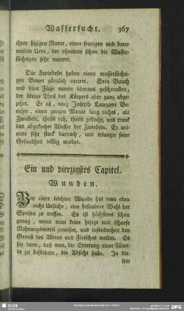 Ein und vierzigstes Capitel. Wunden