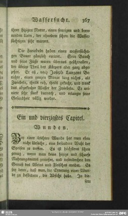 Ein und vierzigstes Capitel. Wunden