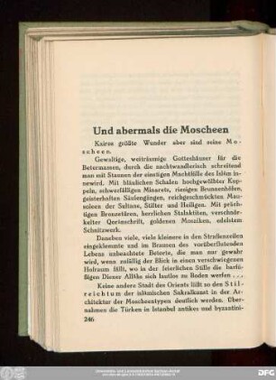 Und abermals die Moscheen