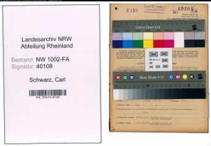 Entnazifizierung Carl Schwarz, geb. 18.02.1895 (Kaufmann)