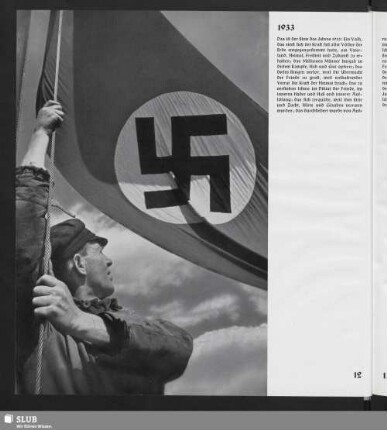 Fahne des Dritten Reiches
