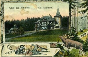 Altenberg-Rehefeld-Zaunhaus. Königliches Jagdschloß, kolorierte Ansichtskarte