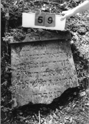 Grabstein 59 (Index: 99790632) Maße HxBxT: 60x48xo.A. cm Symbolik: Mohn: Grabstein 59