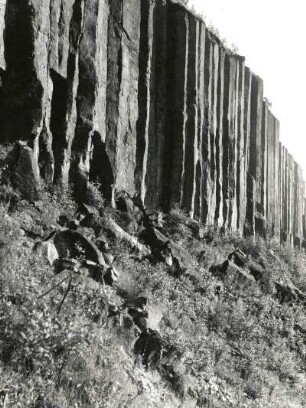 Scheibenberg : Westerzgebirge. Scheibenberg. Basaltsäulen im aufgelassenen Steinbruch