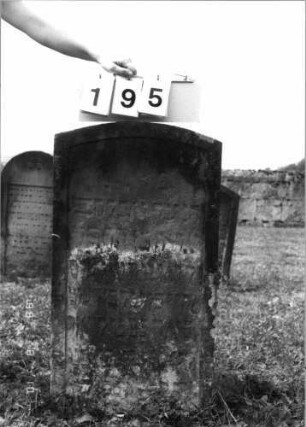 Grabstein 195