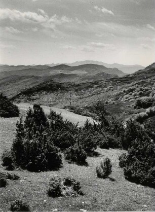 Cevennen Landschaft bei Florac. Die Landschaft ist karg und trotzdem sehr reizvoll