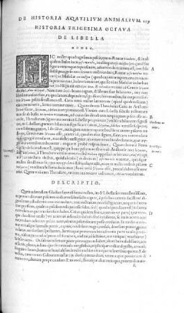 Historia Trigesima Octava. De Libella
