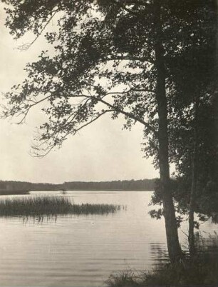 Oberlausitzer Niederung. Am Kubitzteich bei Neudorf-Klösterlich