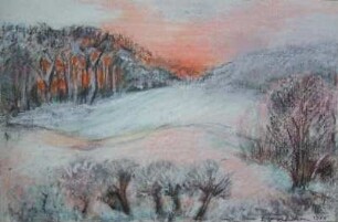 Felder im Winter