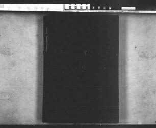 Diarium 1856