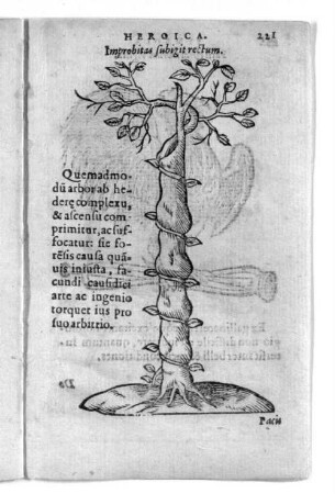 Improbitas subig it rectum.
