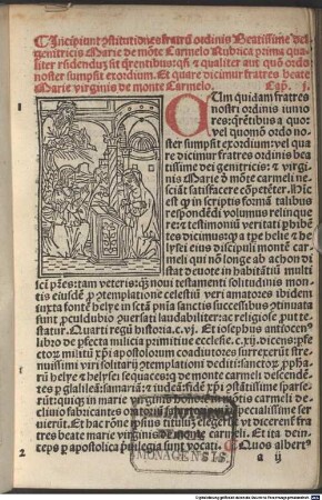 Constitutiones fratrum ordinis beatae Mariae virginis de Monte Carmelo