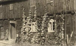 Bauernhof in Weißkollm : Stary burski statok w Běłym Chołmcu
