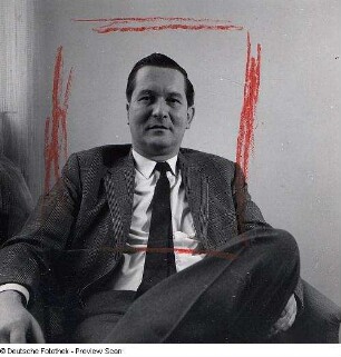 Portraitserie William Styron
