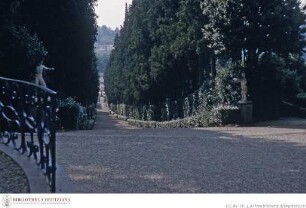 Giardino di Boboli, Viottolone