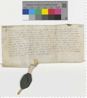 Fredericus, Propst des Klosters Kappenberg, betreut den Propst von Heiligenthal mit seiner Vertretung. [lat]
