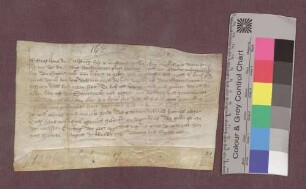 Graf Hans von Habsburg reversiert gegenüber Herzog Leopold von Österreich über das ihm verpfändete Hauensteiner Land.