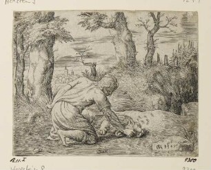 Samson findet Bienen im Maul des Löwen, Blatt 4 der Folge "Geschichte des Samson"