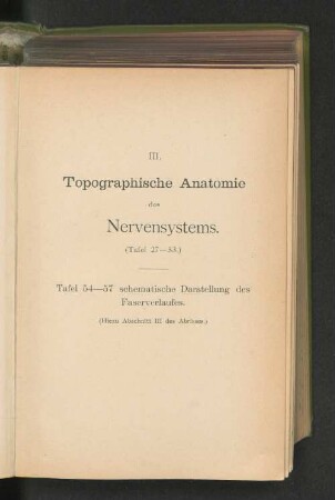 III. Topographische Anatomie des Nervensystems.