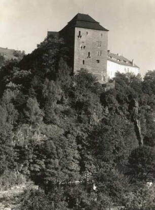 Bečov nad Teplou (früher Petschau). Burg