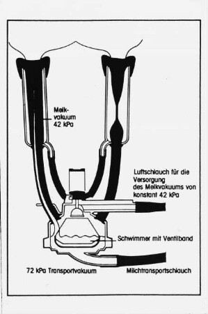 Schemazeichnung: Melktechnik, Rohrmelkanlage, Melkzeug, Milchsammelstück, Vakuumverlauf
