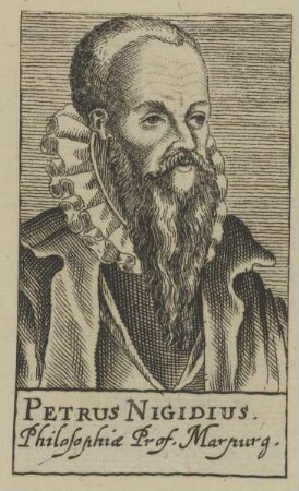 Bildnis des Petrus Nigidius