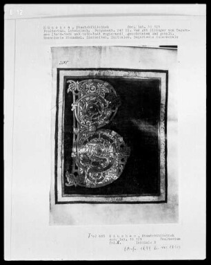 Psalterium — Initiale B, Folio 8recto