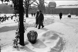 Sonniger Wintertag im Botanischen Garten.