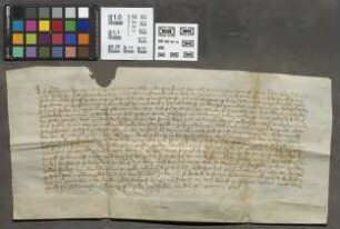Friedberg: Schutzbrief Albrechts Riedesel über die Stadt Friedberg