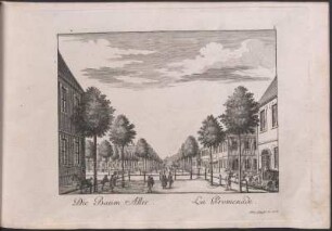 Die Baum Allee = La promenade