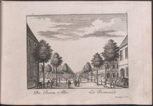 Die Baum Allee = La promenade