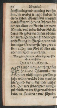Das XXIII Capitul.