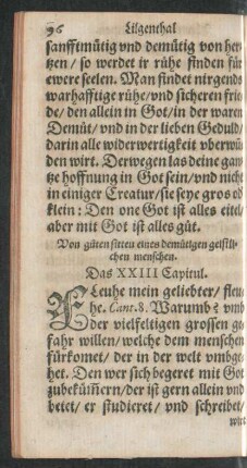 Das XXIII Capitul.