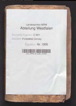 Protokolle des geistlichen Gerichts (Protocollum ecclesiasticum) (mit Namensregister)