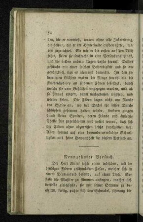 Neunzehnter Versuch.