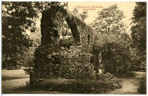 Grimma. Klosterruine Nimbschen