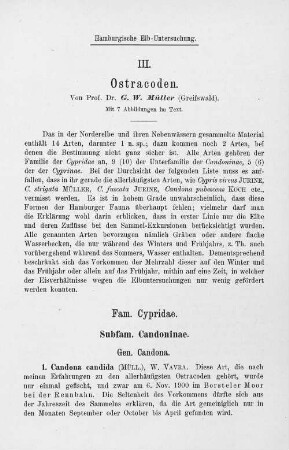 III. Ostracoden.