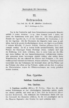 III. Ostracoden.