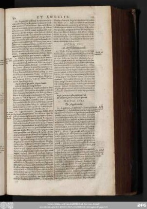 Sectio XVI. An Angeli sint invocandi.
