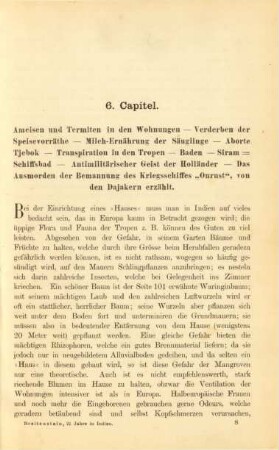 6. Capitel. Ameisen und Termiten in den Wohnungen ...