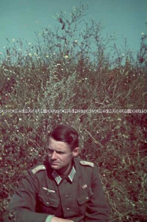 Helmut Schmid-Dankwart vor blühenden Sträuchern