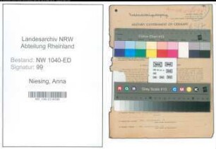 Entnazifizierung Anna Niesing , geb. 11.04.1914 ()