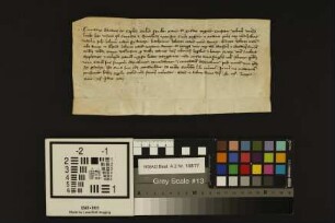 Mainz (Stadt): Locatio Capituli St. Marie ad Gradus Mog. super area Eccl. sue sita apud curiam zum Walhusere facto Conrado et Drutlinde uxori sue ...
