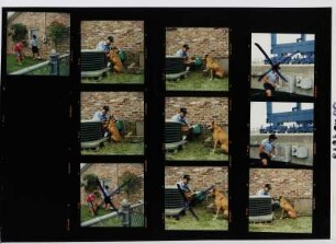 SCEG Meter Reading (PPM), Charleston, 1996