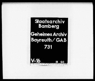 Heilsbronner Teilung: Tagebuch (Diarium)