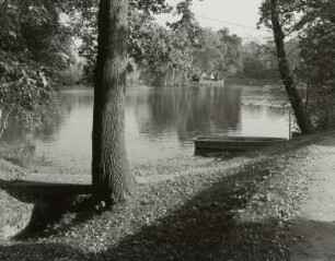 Teich, Kamenz (Kreis Kamenz)